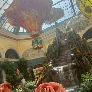 Meet your Posher, Jayla